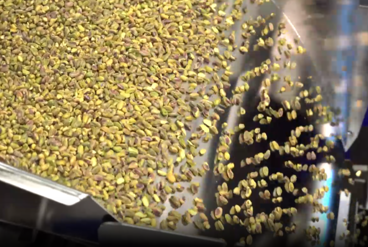 مزایای استفاده از دستگاه سورتینگ در فرآوری کشمش و خشکبار